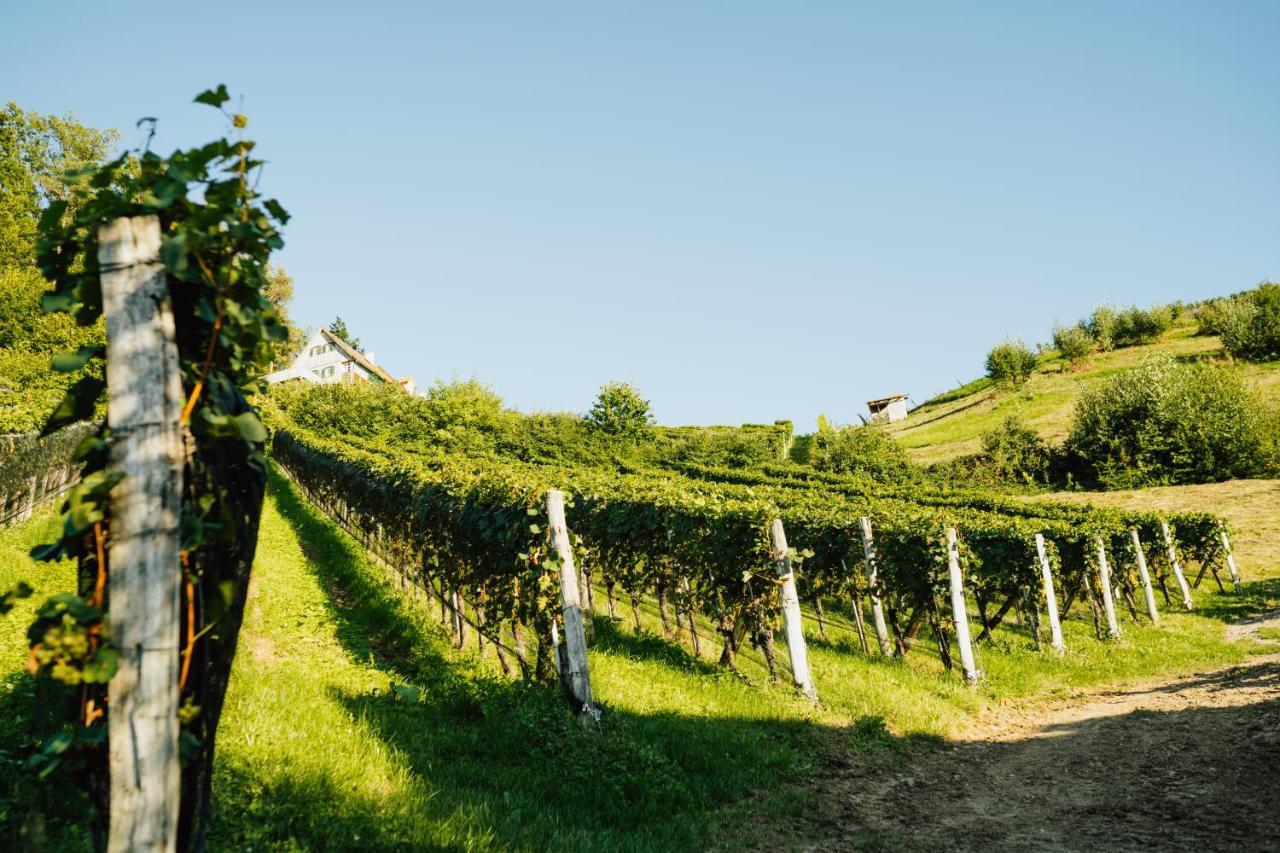 Winzerhof Strablegg Villa Großklein Kültér fotó